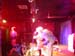 team plastique on at the zoo