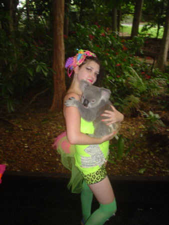 dish and koala