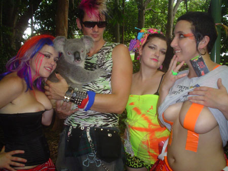 team plastique starring a koala