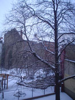 team plastique's backyard, berlin